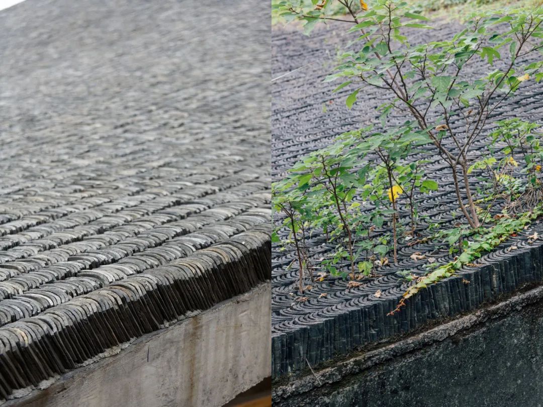 中国古动物馆(保定自然博物馆)丨中国保定丨王澍-83