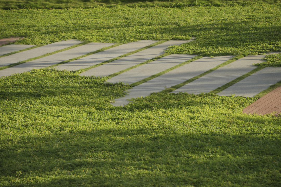 三亚崖州湾科技城通海公园五区丨中国三亚丨成都麦微景观建筑事务所-97