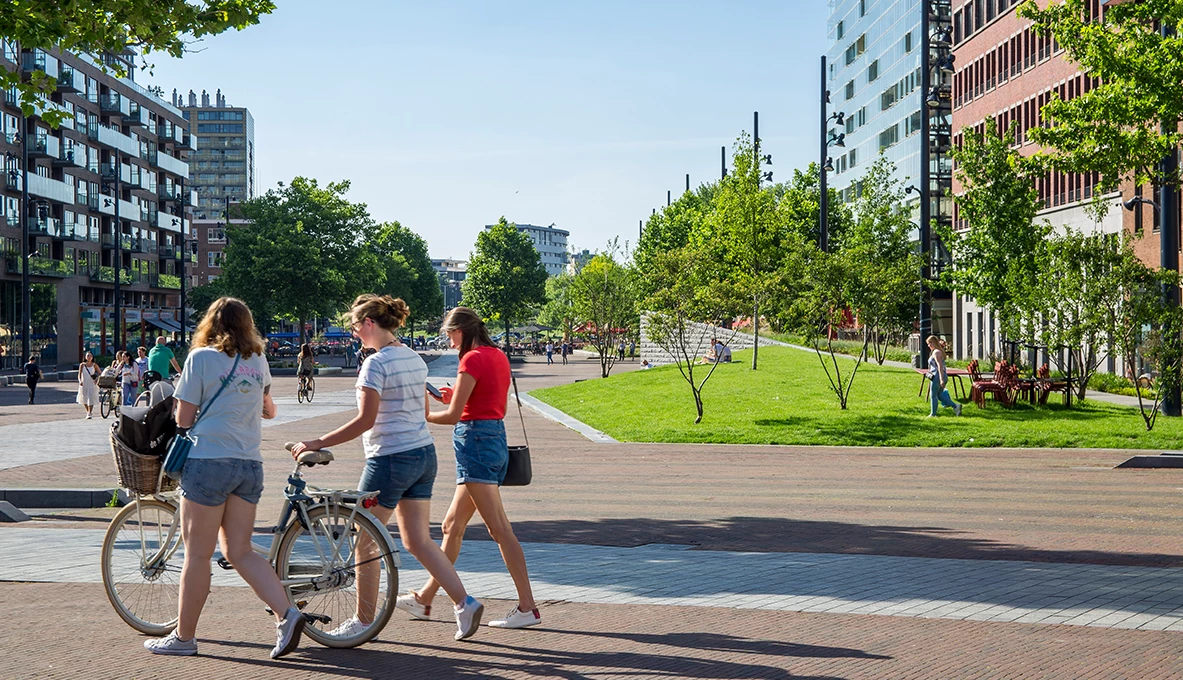 Binnenrotte Rotterdam-6