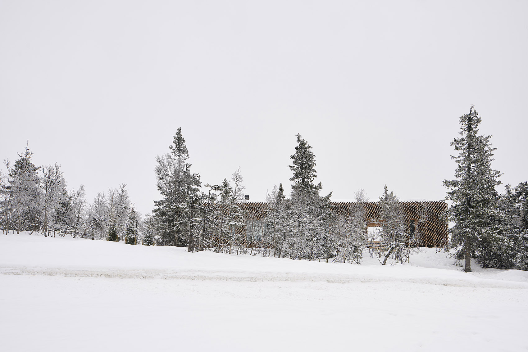 挪威Skigard住宅-11