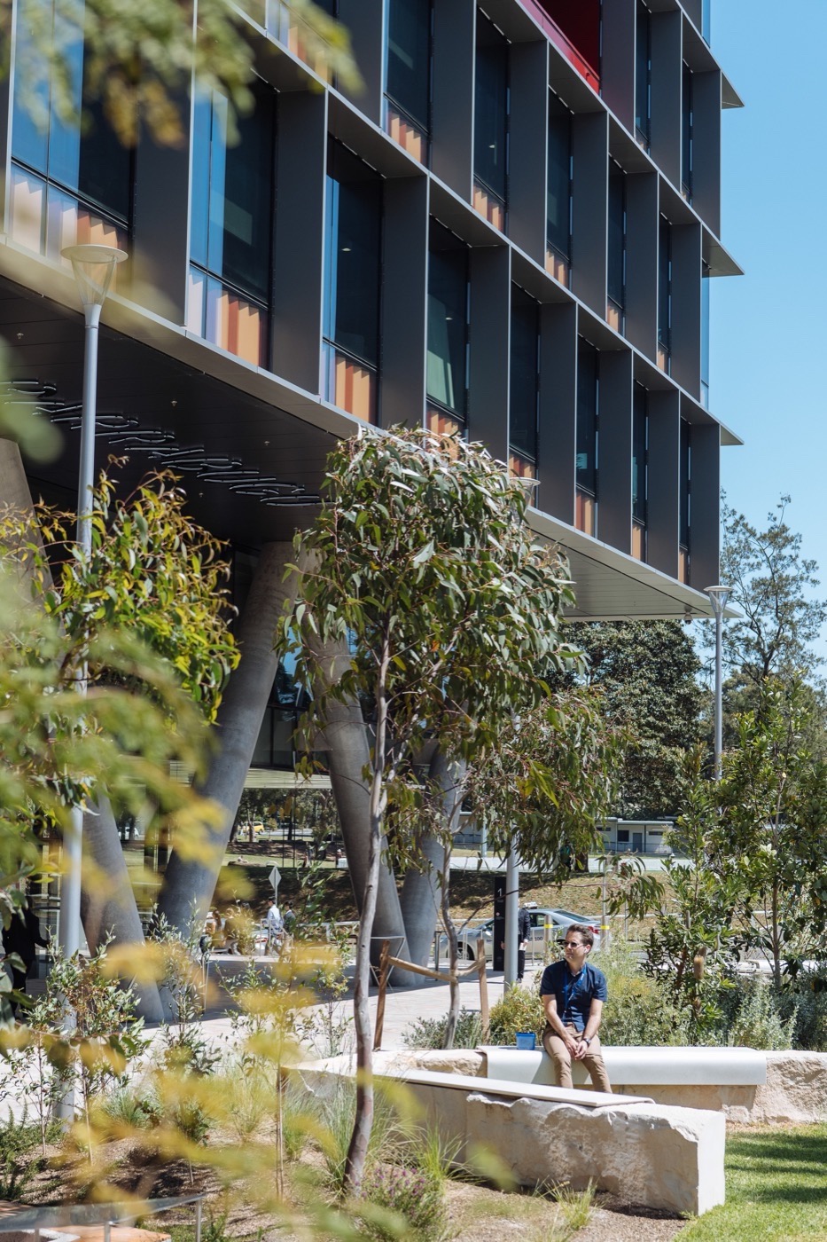 悉尼 St Leonards 健康组织迁址丨澳大利亚悉尼丨Arcadia Landscape Architecture-6