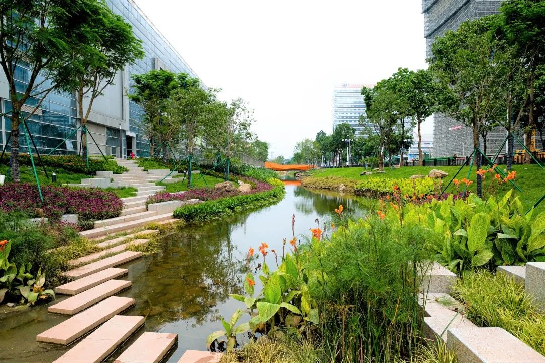 重生之河 | 广州大坦沙岛“蓝色命脉”的生态复兴-37