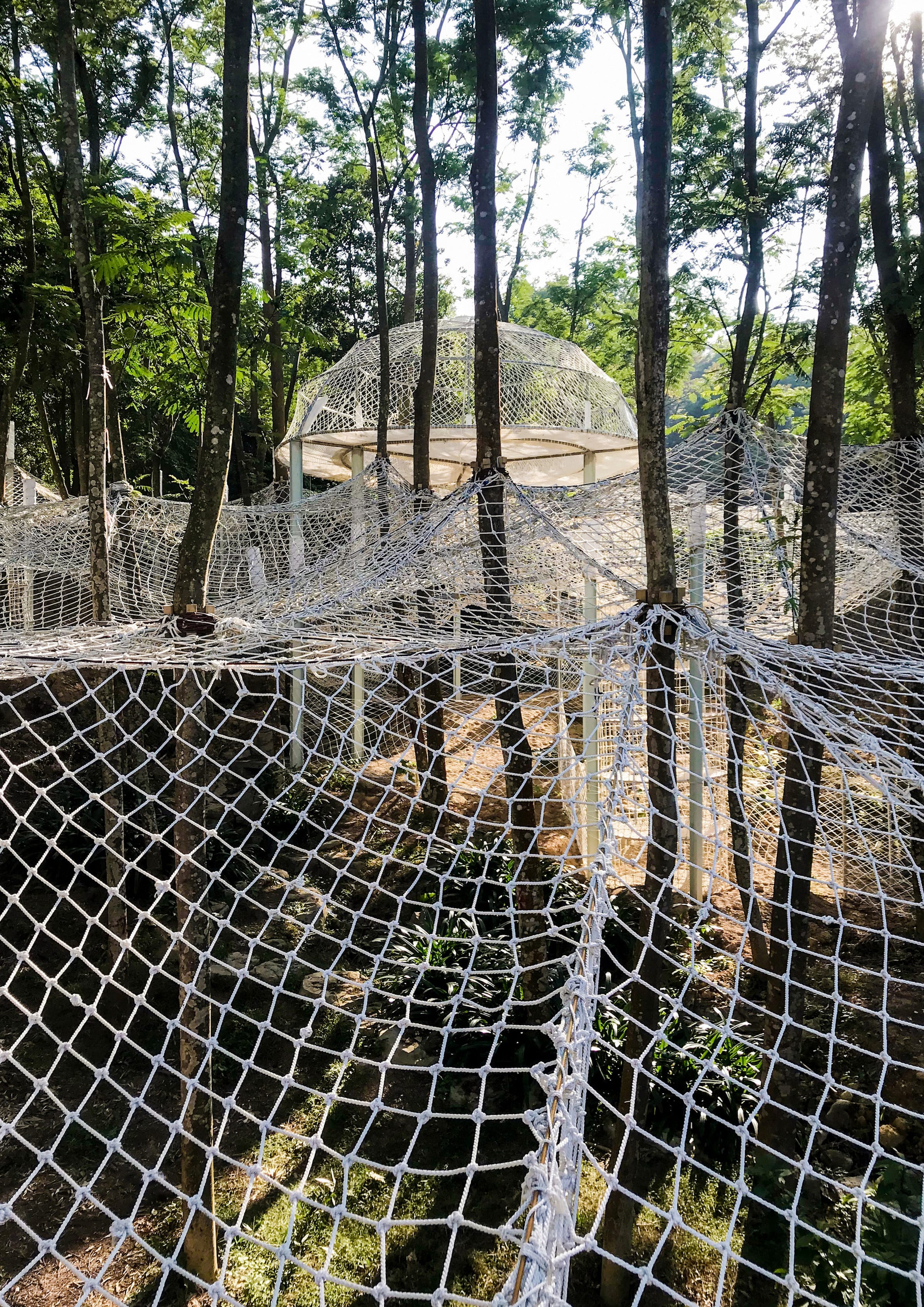 广东罗浮山谷林攀爬乐园-16