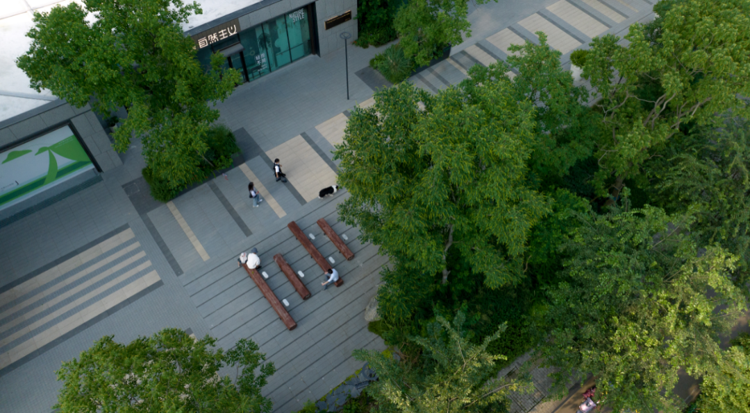 城市兴交付Vol.44|住进自然里，闪耀生活的光@星图光年轩-28