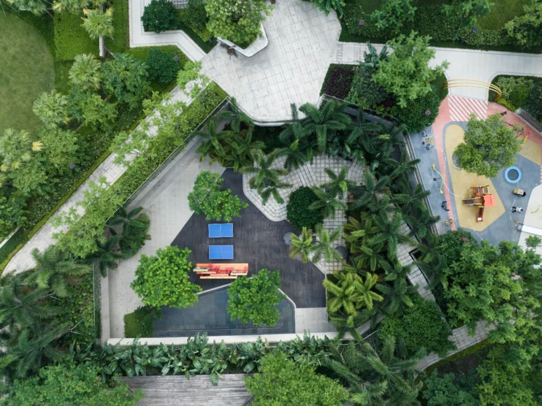 江门·华发四季丨中国江门丨华发股份华南区域-43