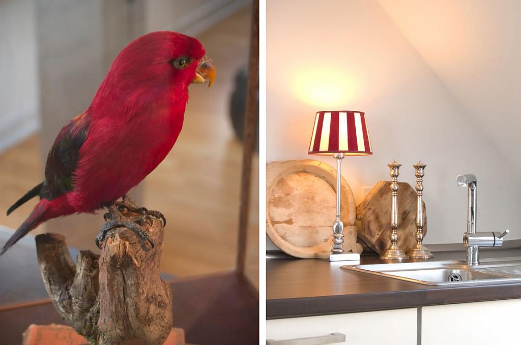 设计师在科隆的折衷主义公寓丨德国科隆丨安杰洛·德·博卡（比利时室内设计师）-30