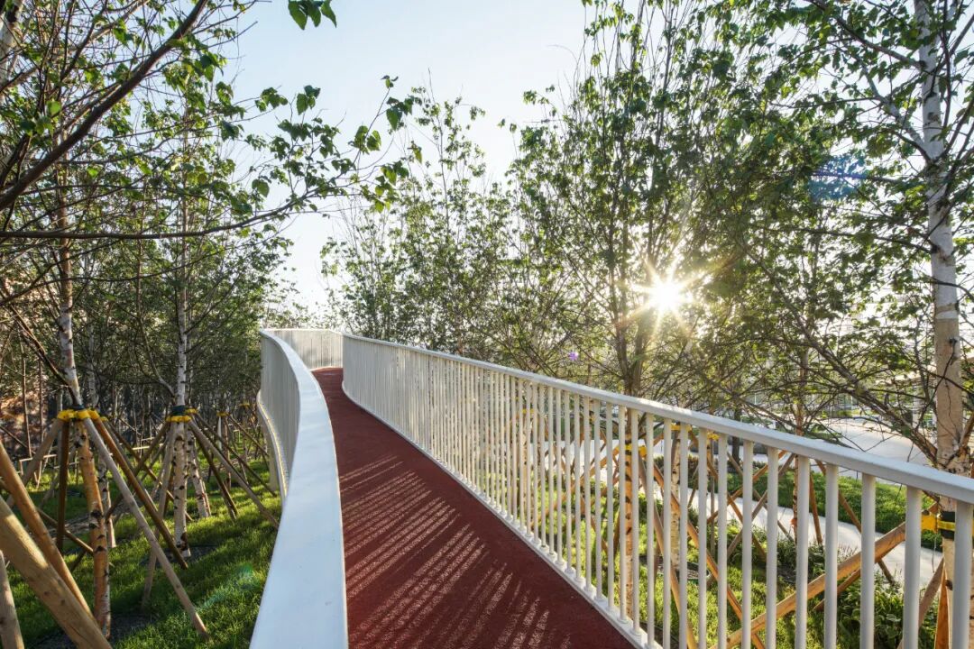 转角遇见暖意，冰城的一抹新绿 万科鲸鱼悦府丨中国哈尔滨丨ZAP ASSOCIATES-43