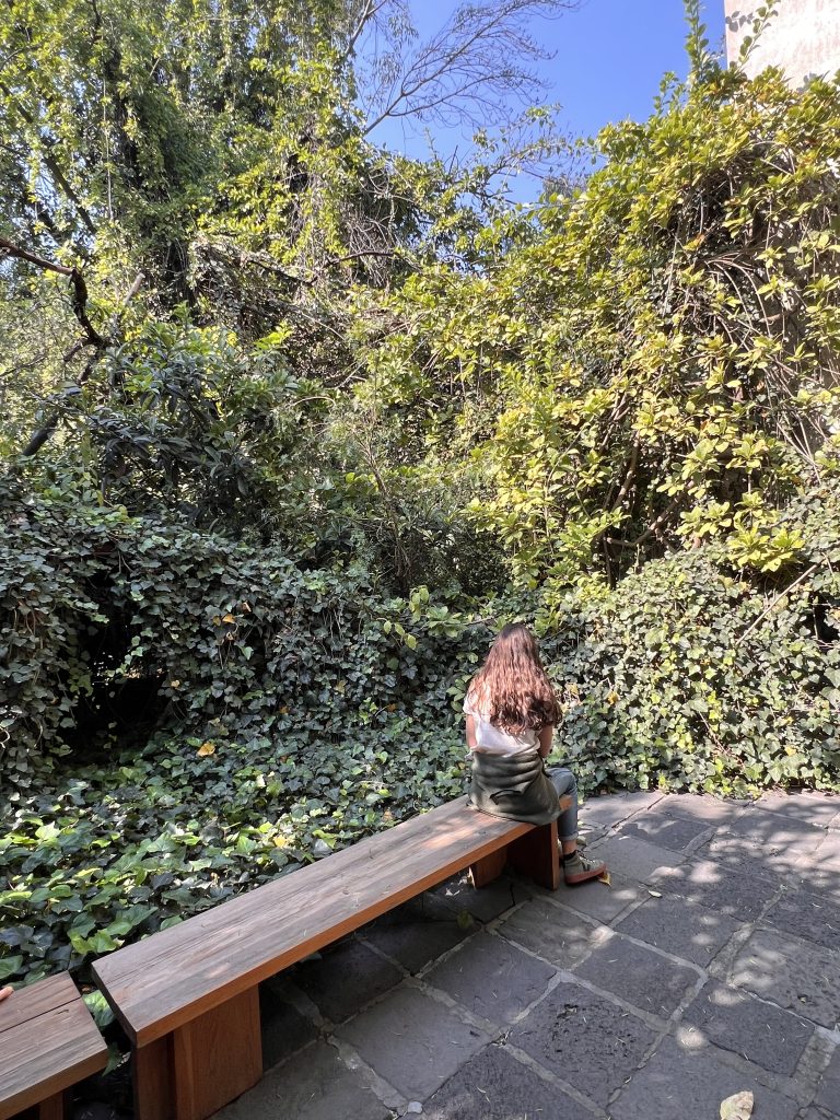 Casa Luis Barragán（路易斯·巴拉干住宅）丨路易斯·巴拉干（建筑师）-44