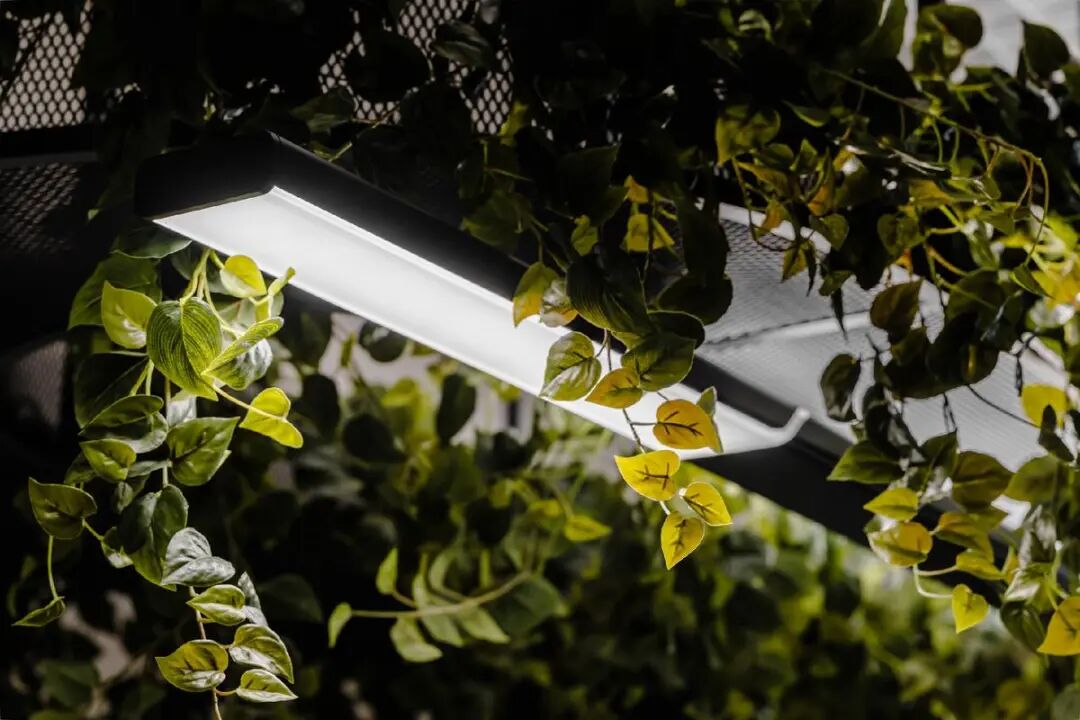 德国百年照明Trilu·波兰工厂配套办公空间设计丨Workplace设计团队-27