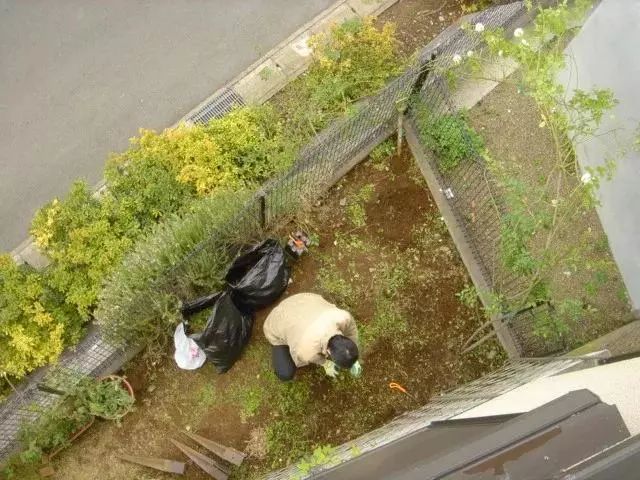 历时19年，小哥熬成大叔，不断改造进化的4㎡小院子！-17