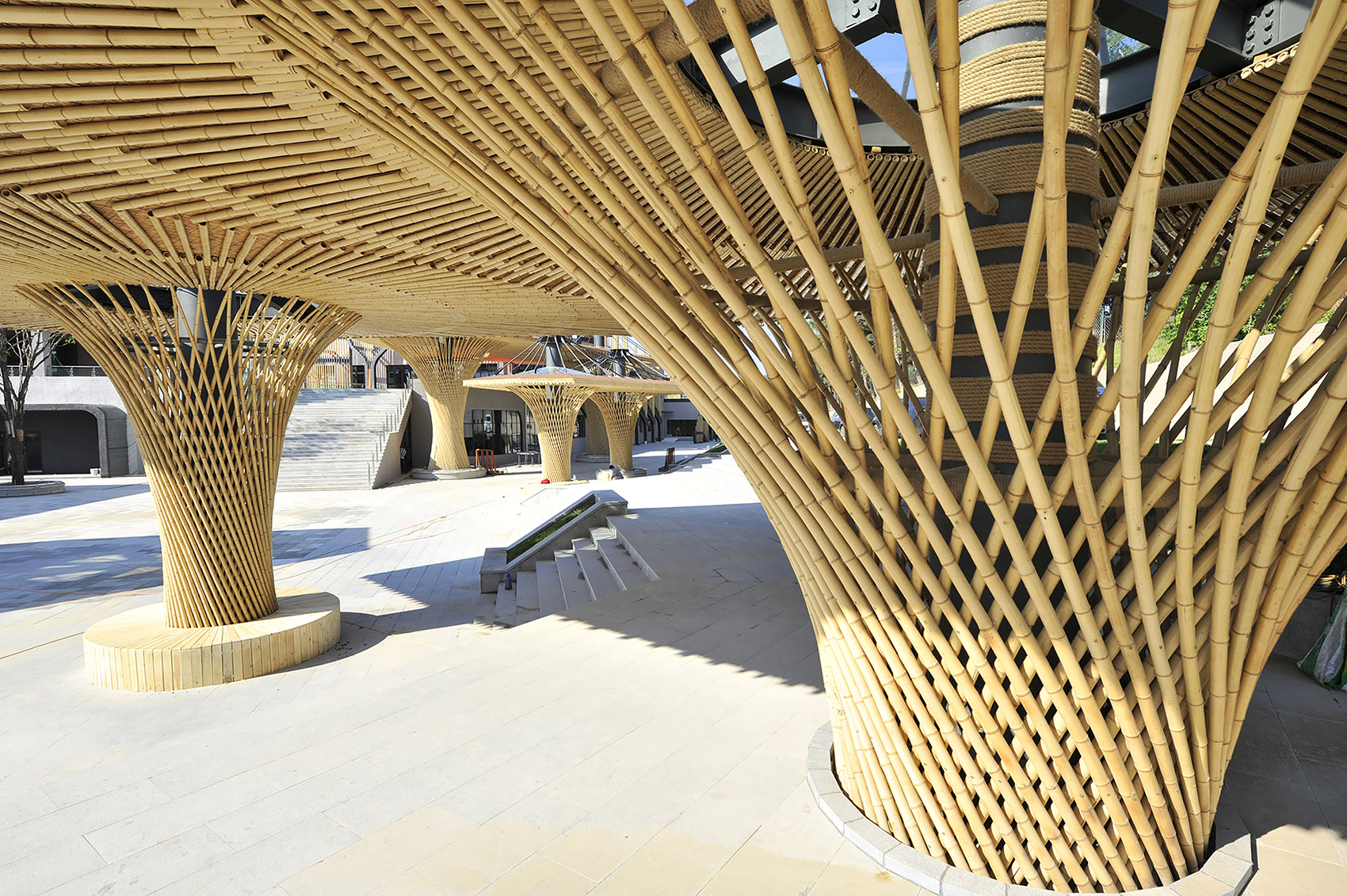 沈阳森林动物园熊猫馆 / 沈阳建筑大学HA+建筑方案创意工作室-23