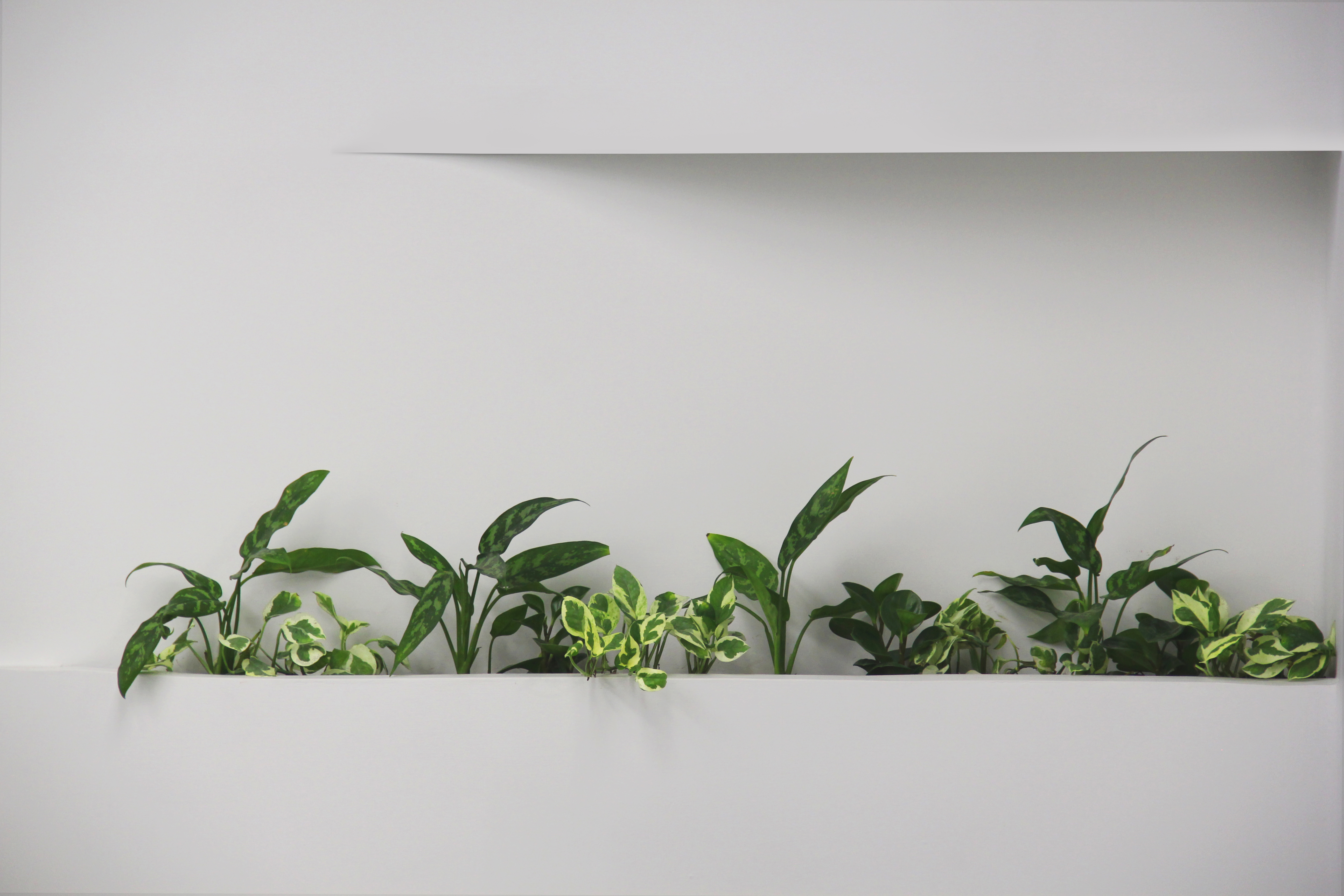 平衡工作与生活,打造多功能会议空间-34