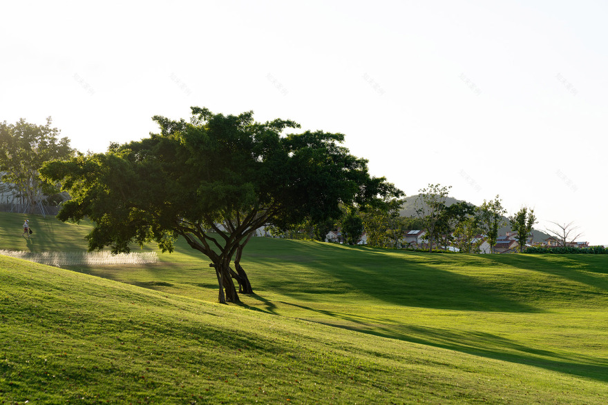 阿那亚三亚南花园丨中国三亚丨Z’scape致舍景观-295