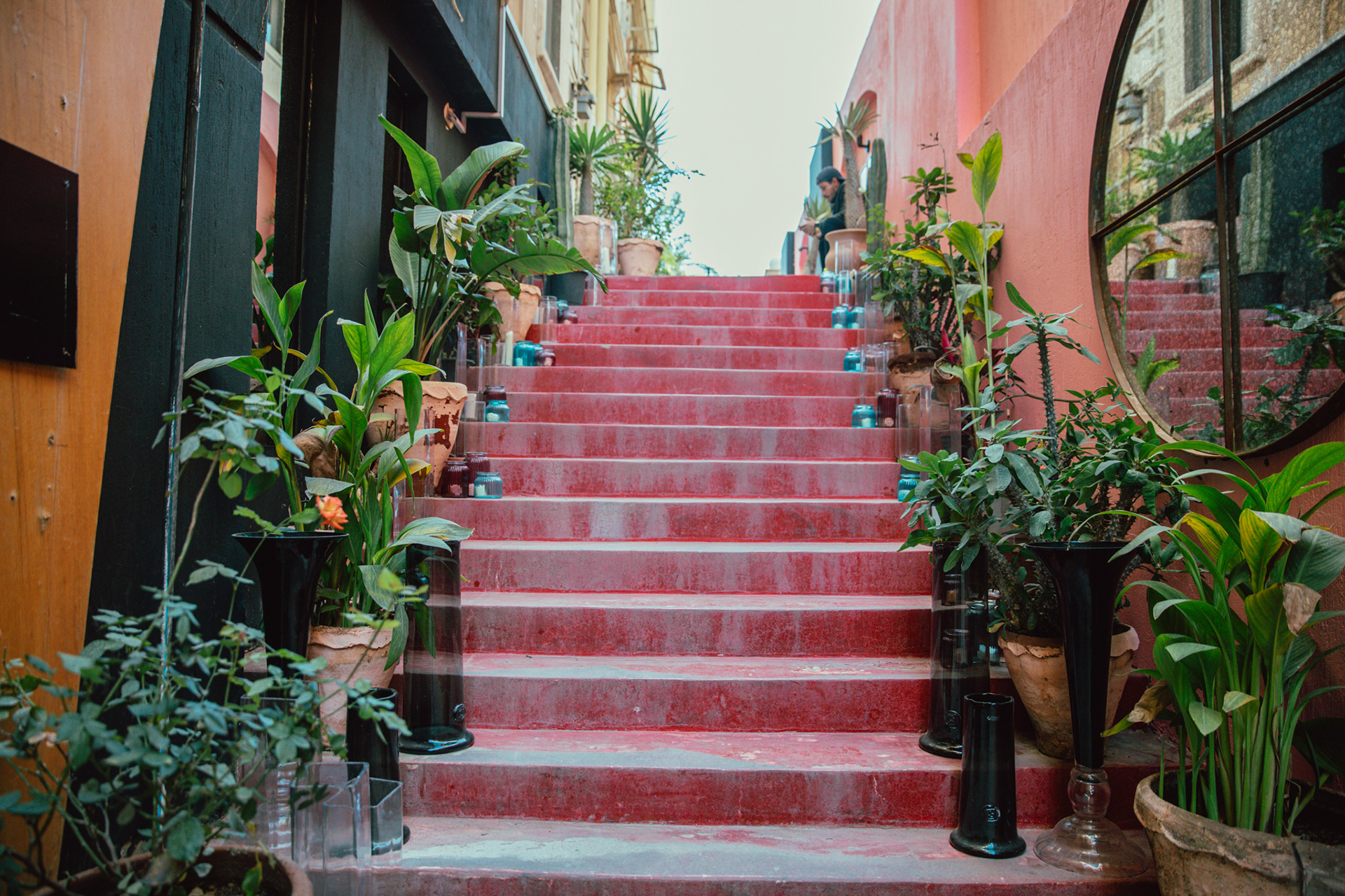 Art day (Landscape Design )-10