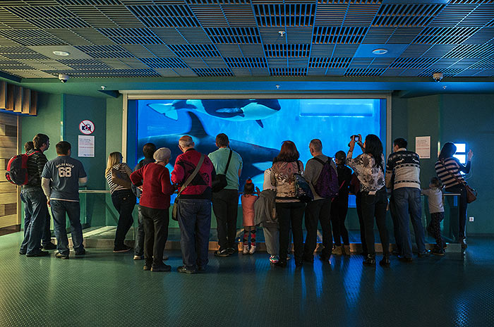 “Moskvarium”海洋馆丨俄罗斯莫斯科丨Aqua Logo Engineering-85