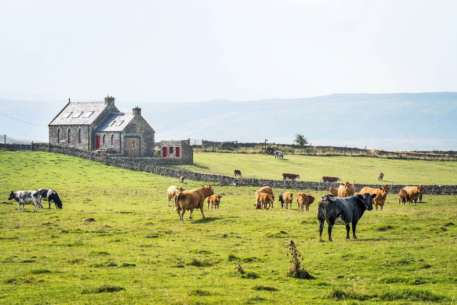 丨英国英格兰丨Evolution Design-31