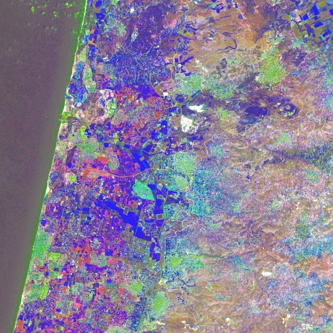 Blue Farmland可译为蓝色农田,但huaikuanchung不是一个常见的英文词汇或有公认含义的词语,不清楚其确切指的是什么,无法完成该部分的准确翻译 丨以色列-12