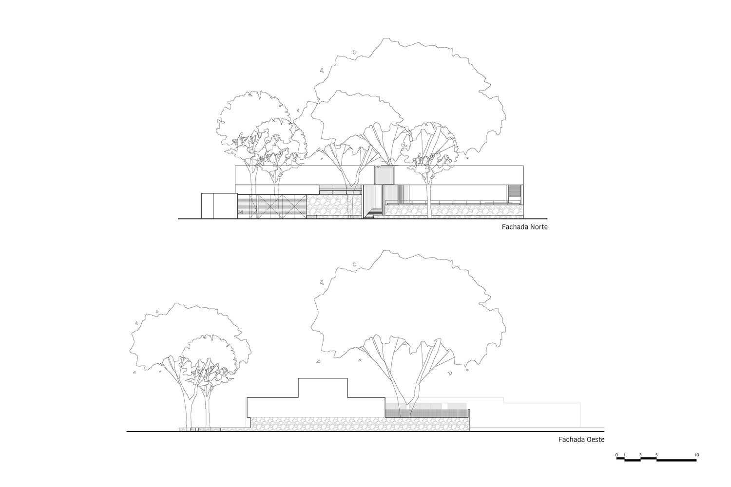 "Pich"树之屋 | 共享绿意,融入城市-23