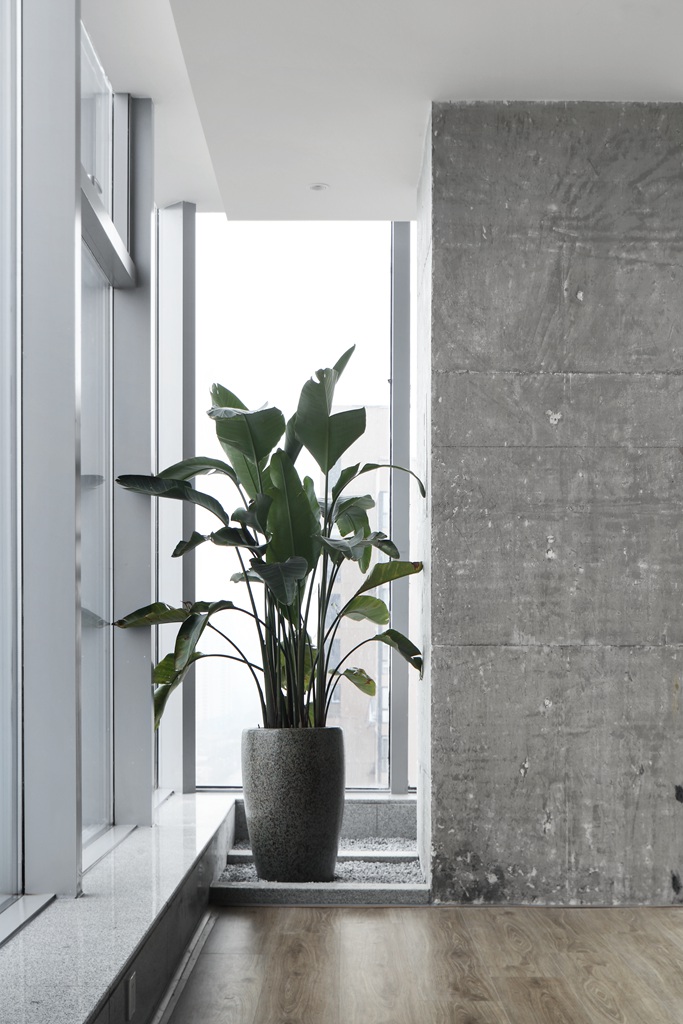 春秋出品 —— 办公.适-55