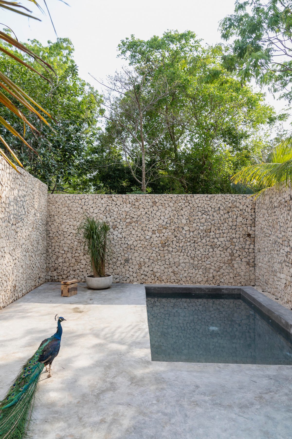 墨西哥图卢姆金字塔度假屋丨SIJIL-18