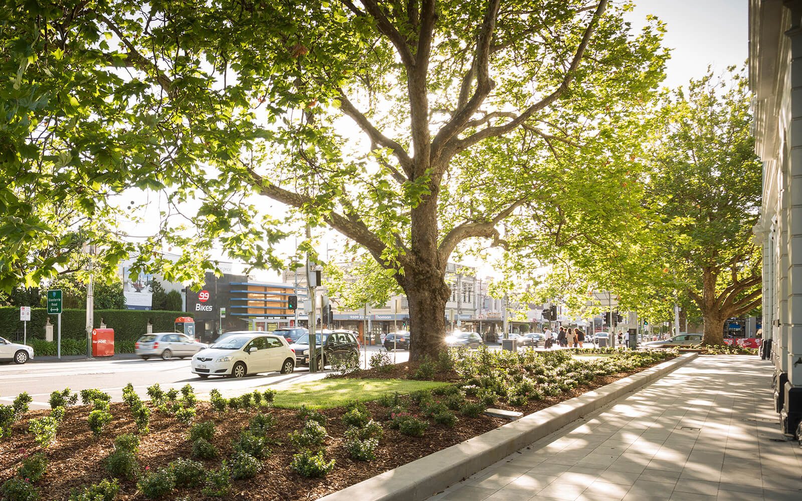 Malvern Town Hall景观设计丨MDG Landscape Architects-4