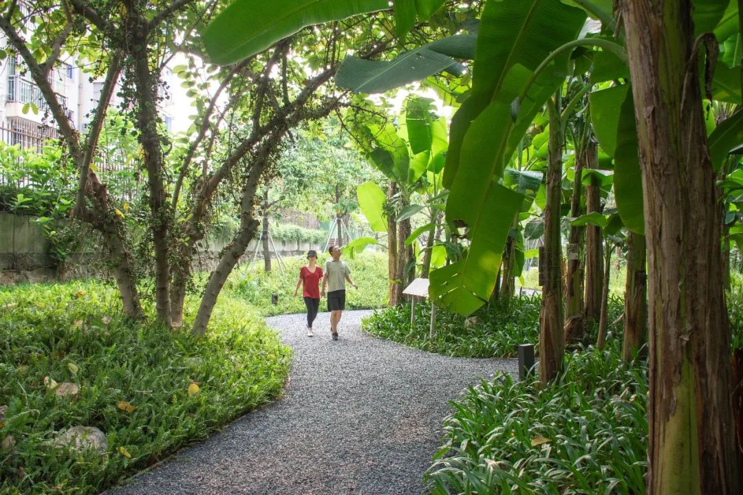 紫涧园（郊野径入口）景观设计丨东大（深圳）设计有限公司,AECOM-44