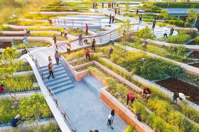 泰国Ramathibodi Healing Garden-0