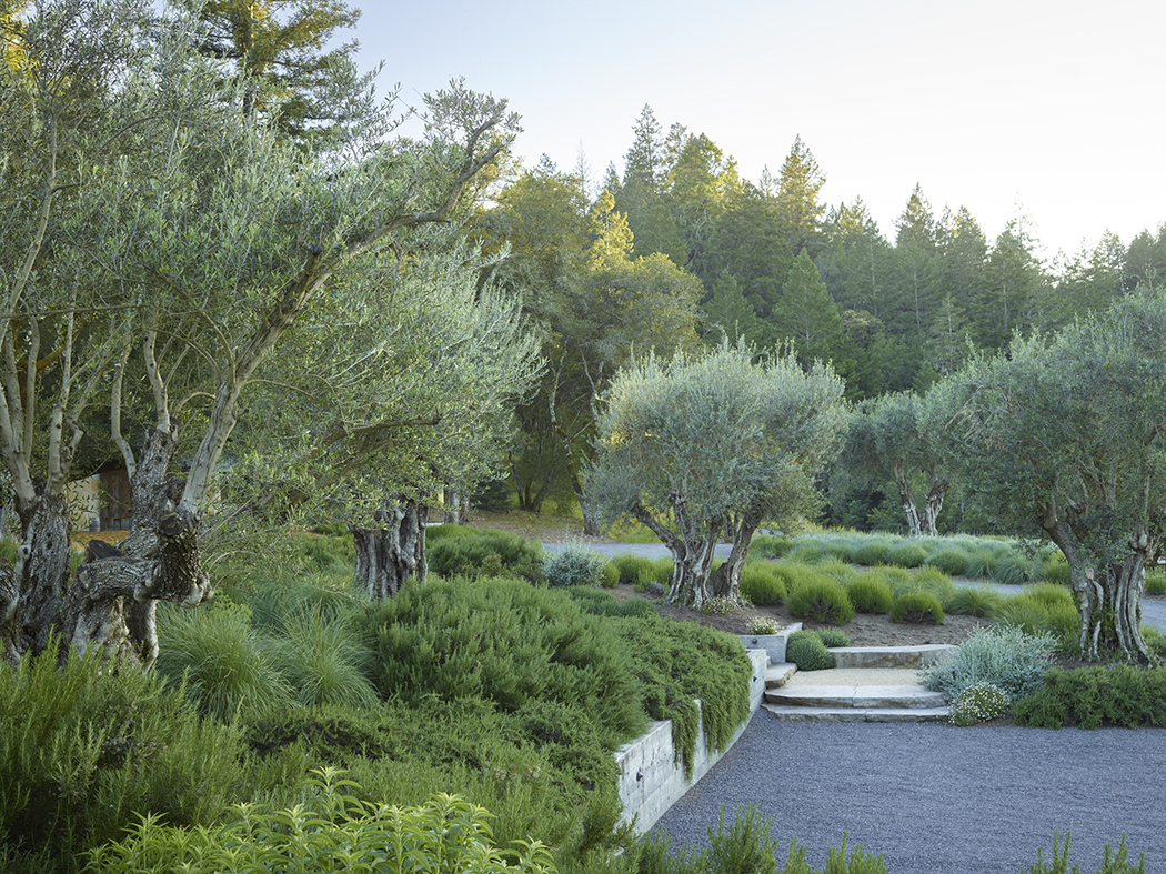 加州希尔兹堡,新旧交汇的野趣庄园 / Lucas & Lucas-4