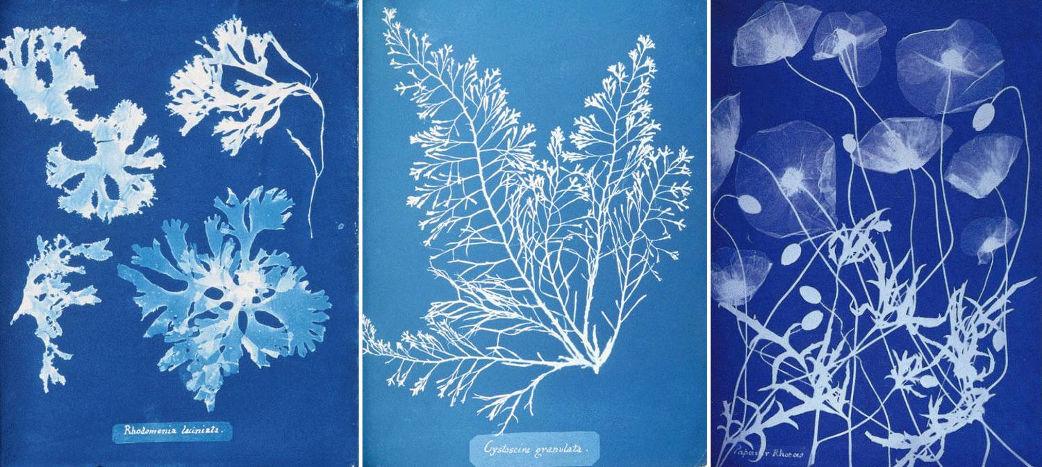 万科安品园舍别墅-79