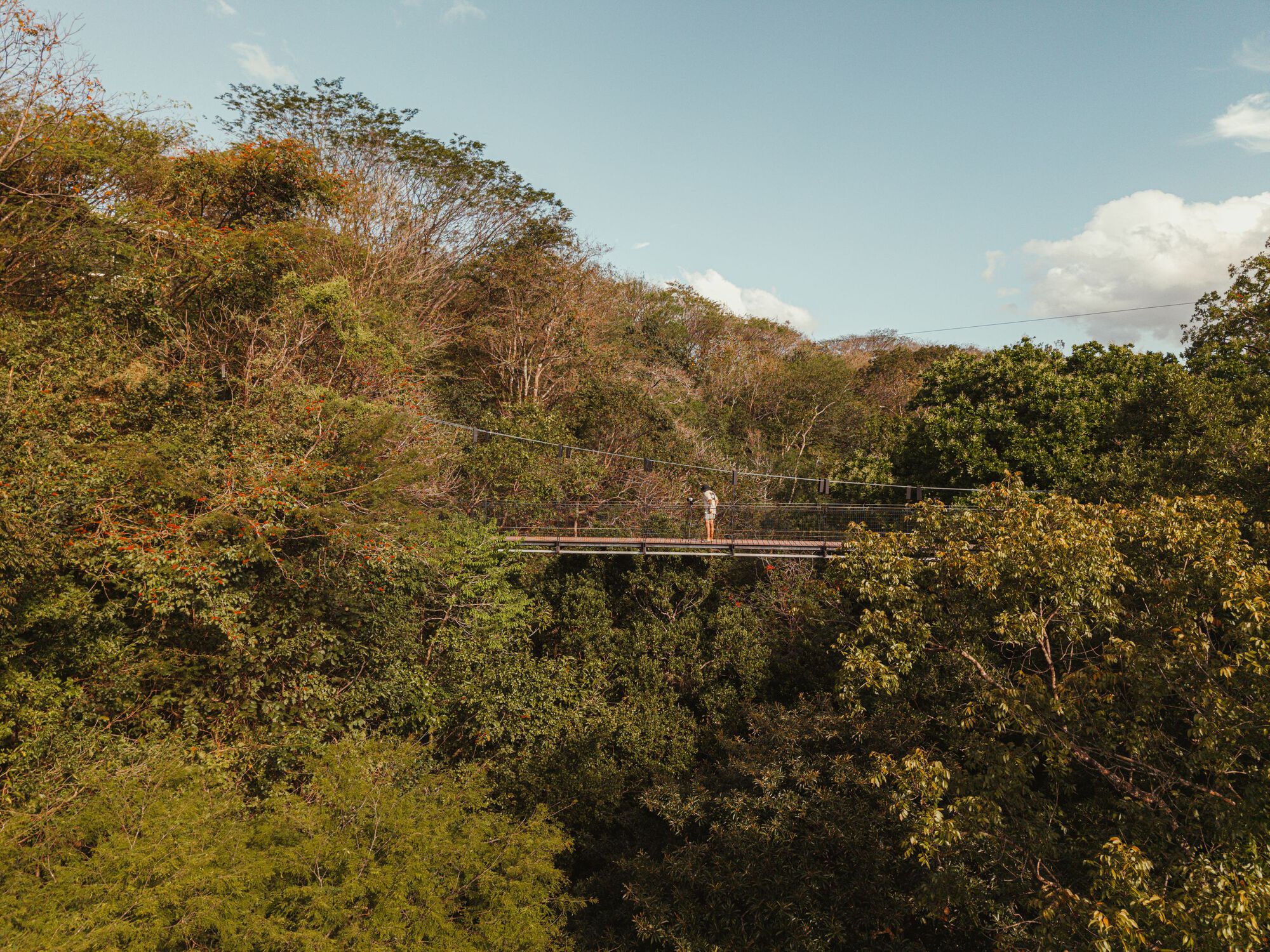 丨Costa Rica丨Studio Saxe(建筑),Dania Saragovia(室内)-14