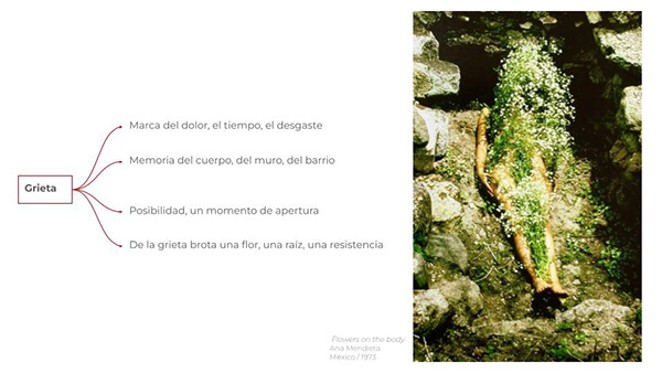 Resurgiendo en la grieta-2