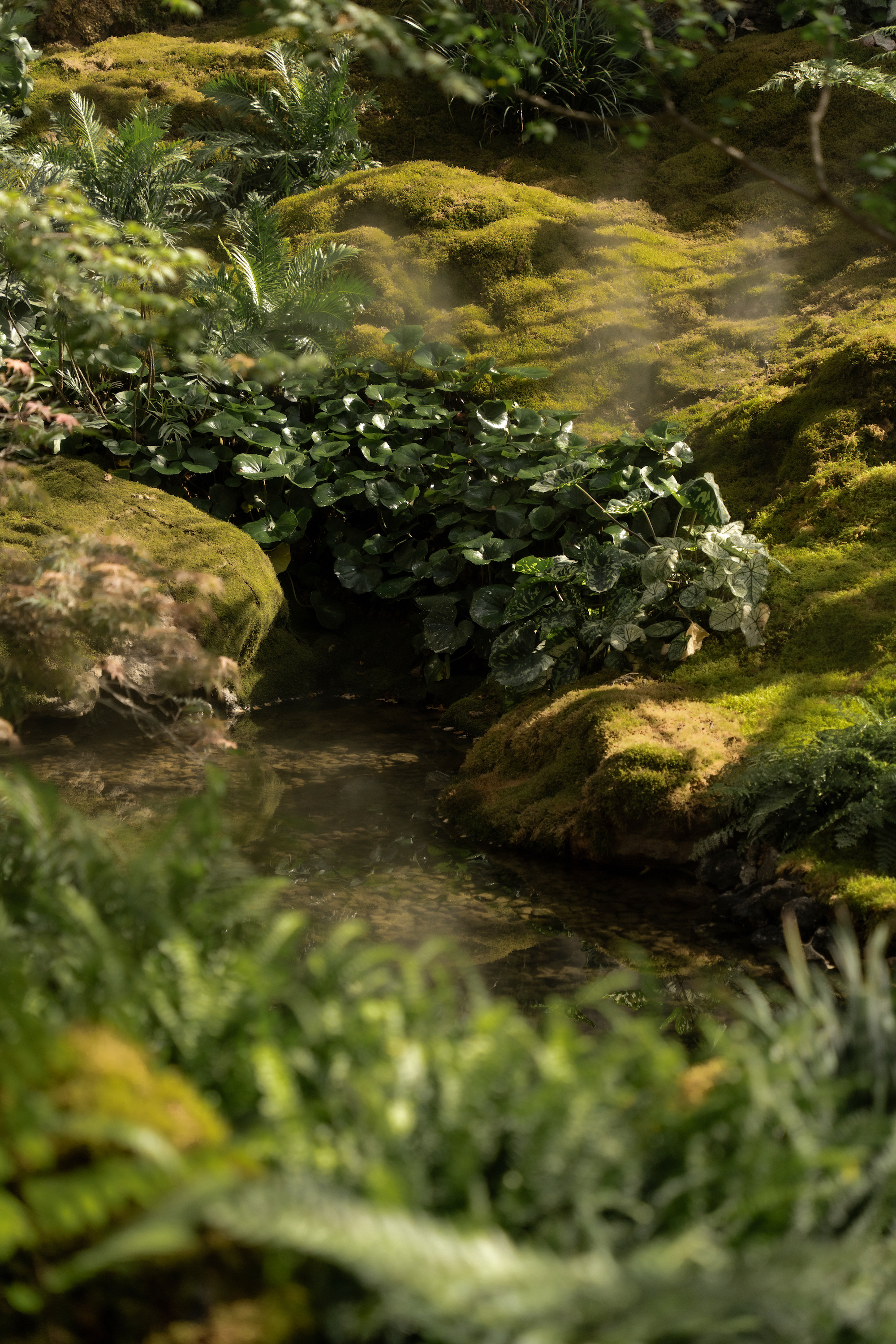 成都招商·锦城序丨中国成都丨MAXI美溪景观,上海成执建筑,北山造所等-41