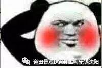 道田开年盛宴 室内设计点评-71