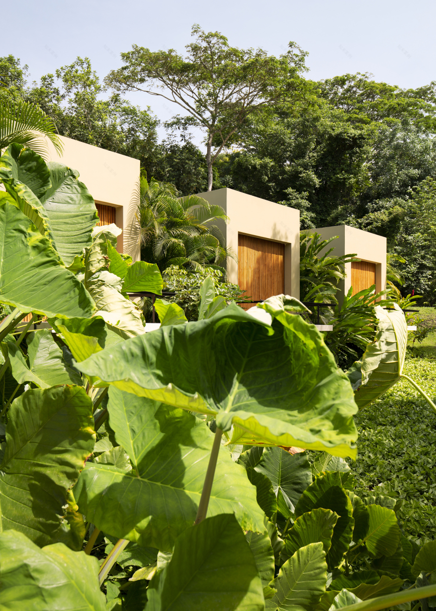 哥伦比亚B.I.别墅酒店(2018)(Lorenzo Botero Arquitectos)设计-40