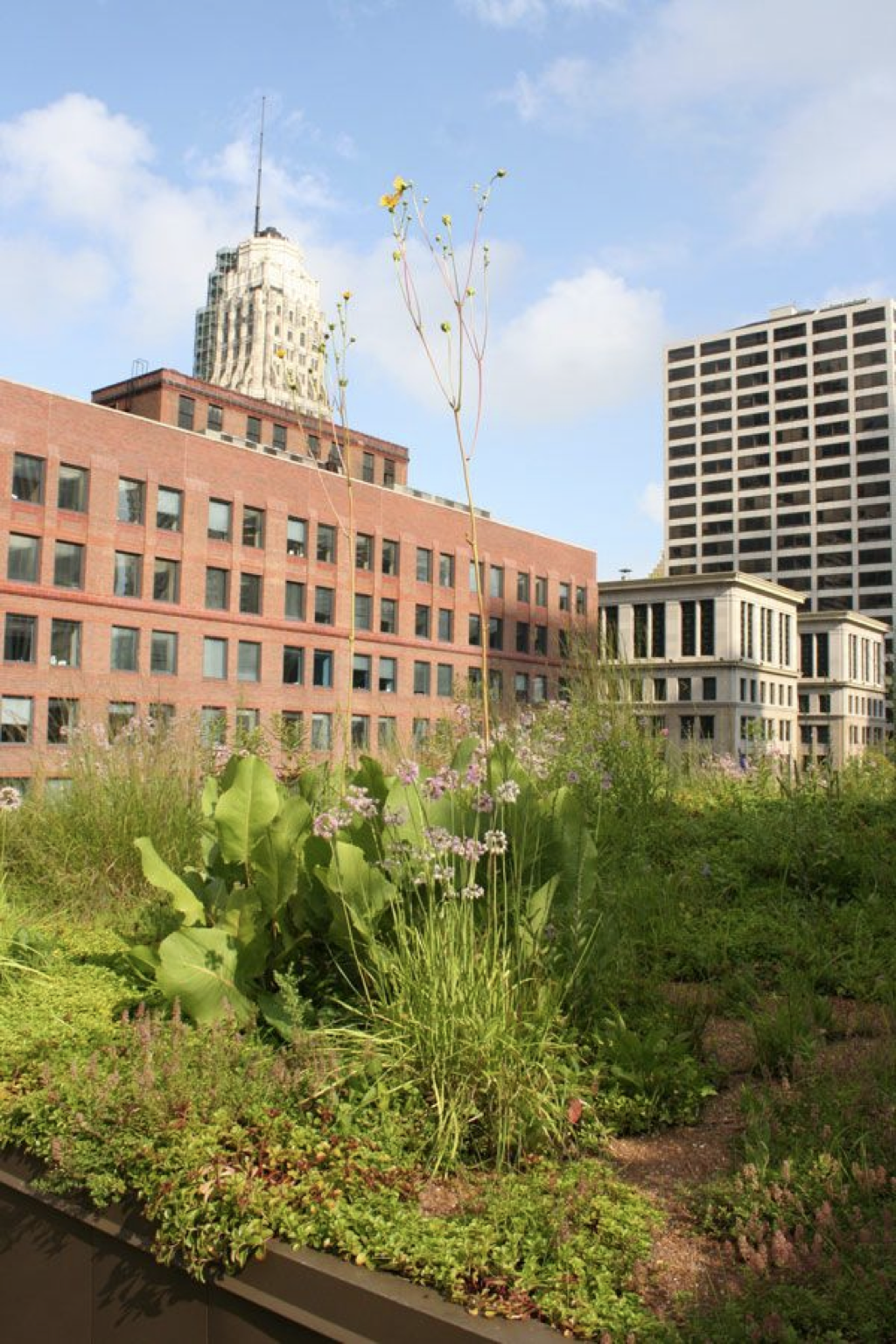 泰国Ramathibodi Healing Garden-108