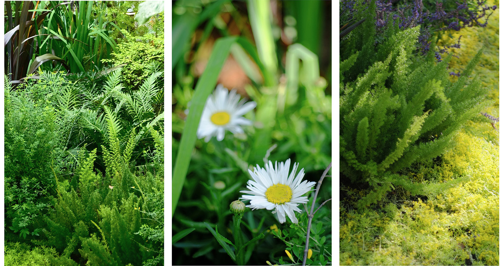 梅园咖啡屋丨中国上海丨Offhand Practice-35