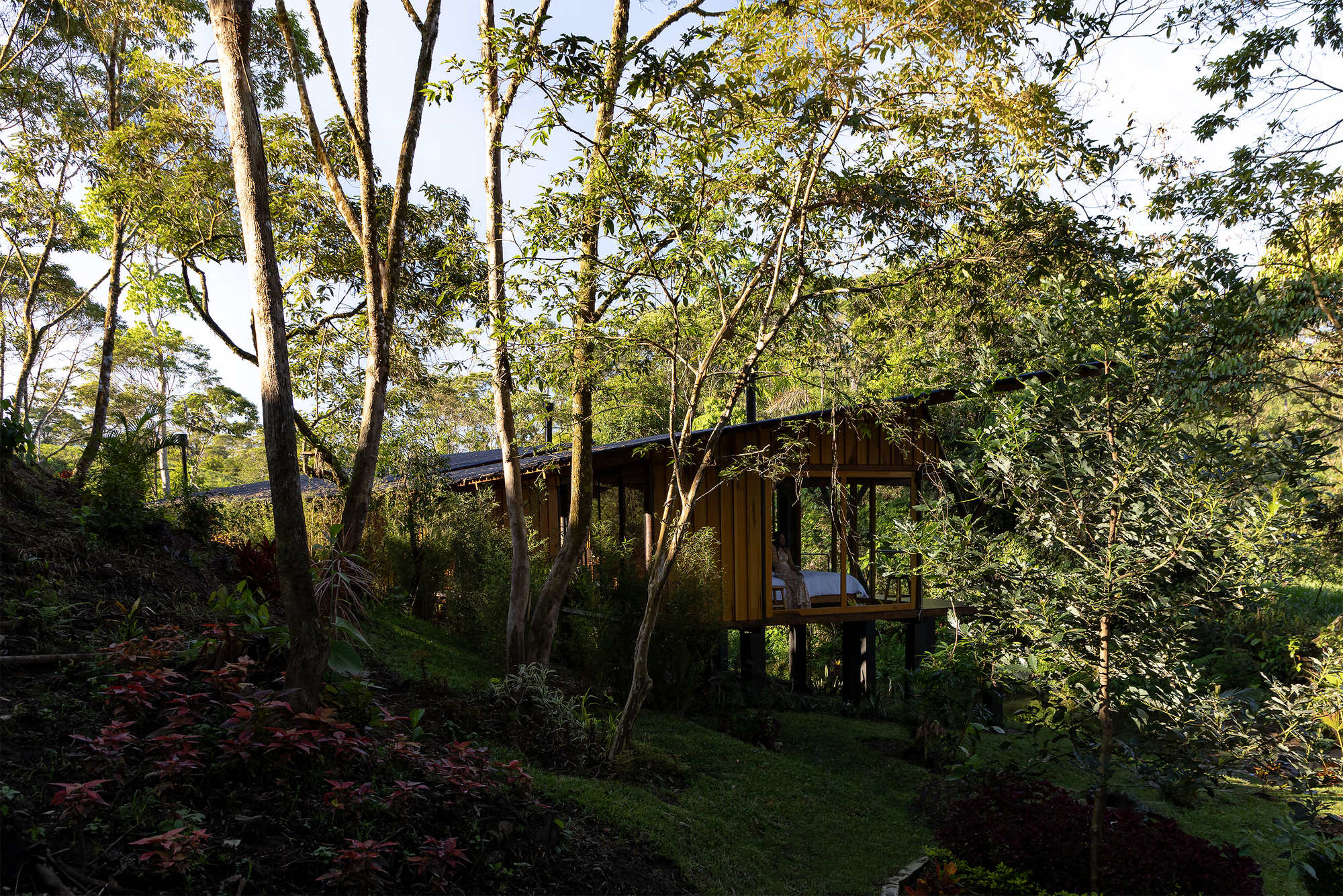 霍格拉德拉马德拉避难所丨厄瓜多尔帕斯塔萨丨Mestizo Estudio Arquitectura-29