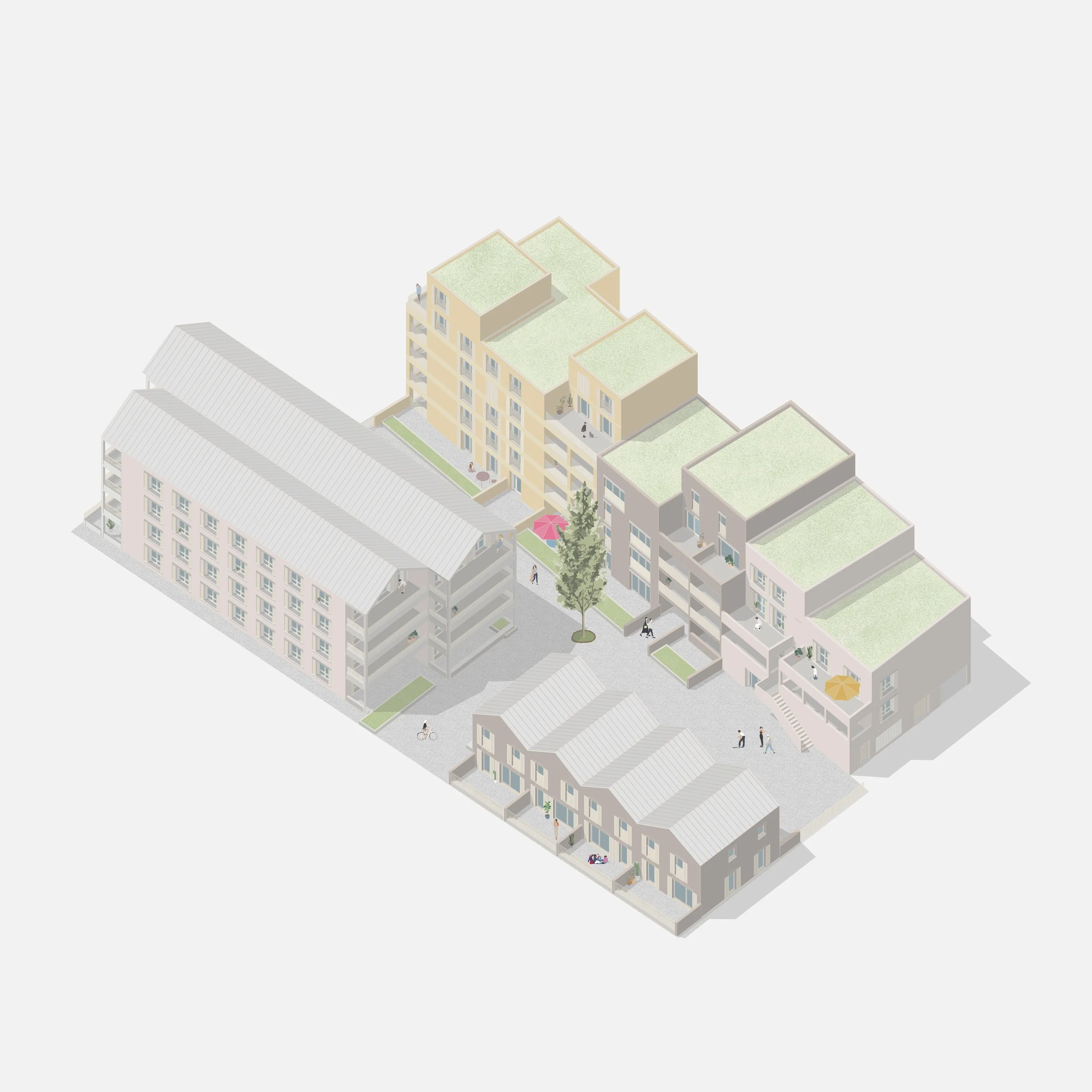 蒙让，龙吉斯·帕拉斯塔-34