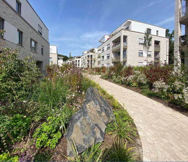 Kramm + Strigl Architekten und Stadtplaner丨Waldviertel Wiesbaden Simeonhaus Wohnbebebauung丨德国-13