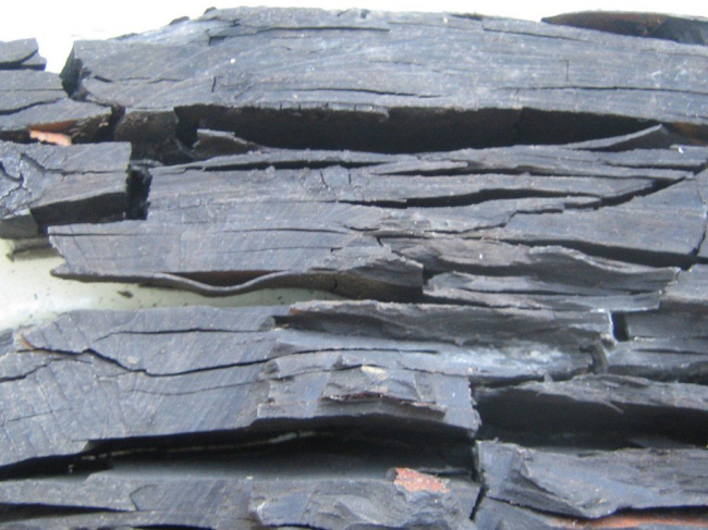 梅塞尔采石场游客中心丨德国-26