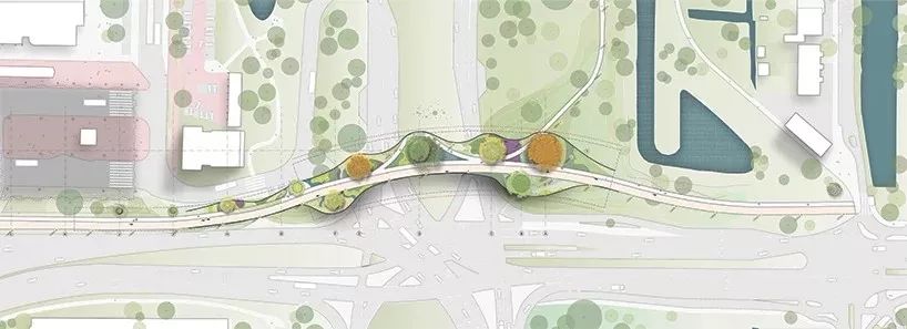 生态飘带景观桥丨澳大利亚堪培拉丨CX landscape-39