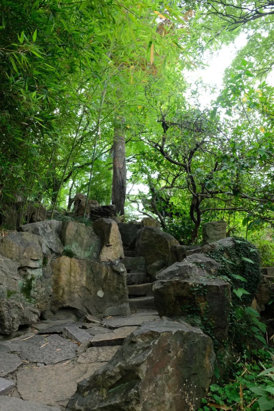 留园丨中国苏州-13