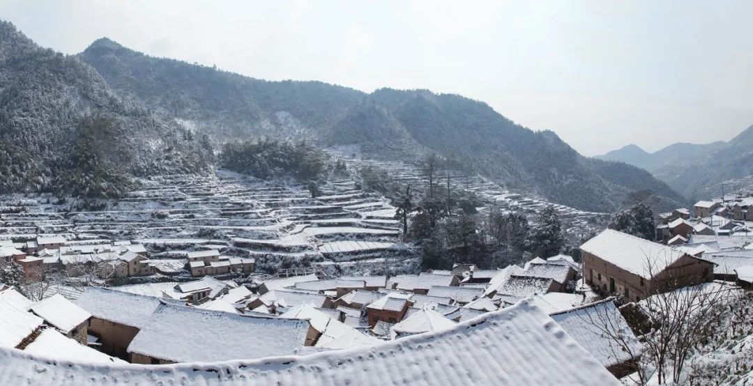  尌林建筑设计事务所丨武义梁家山·清啸山居·民宿建筑设计 丨中国浙江-9