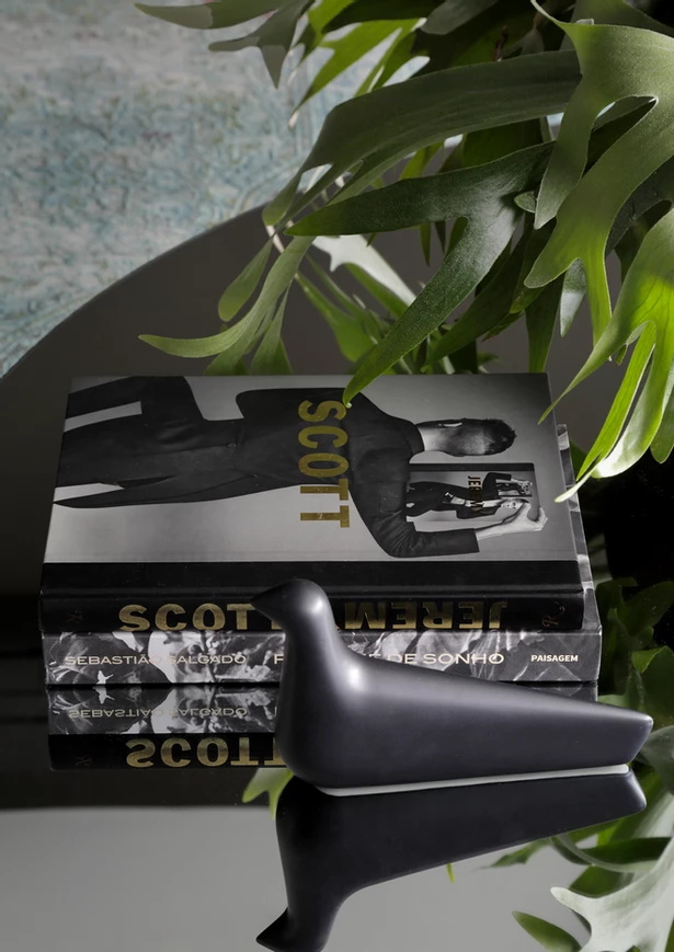 LR APARTMENT Guilherme Torres-6