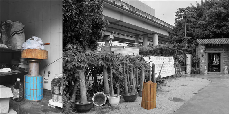 益力矿泉水厂更新策略研究丨中国深圳丨有方-48