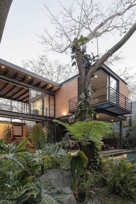 Casa Mao · 墨西哥 Colima 的时尚现代绿洲丨Di Frenna Arquitectos-29