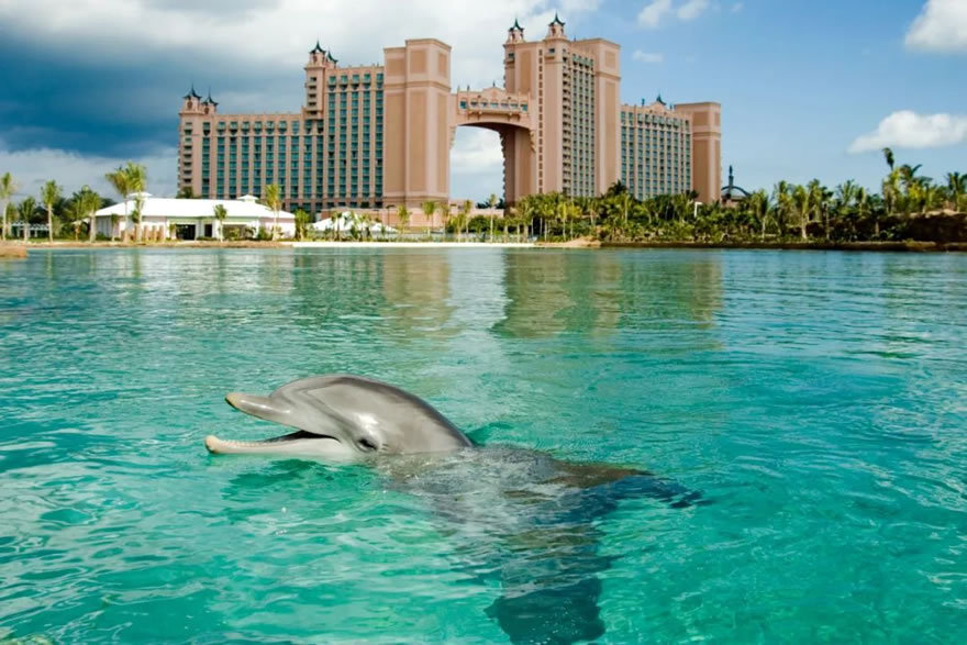 亚特兰蒂斯天堂岛丨沙特阿拉伯巴哈丨EDSA-12