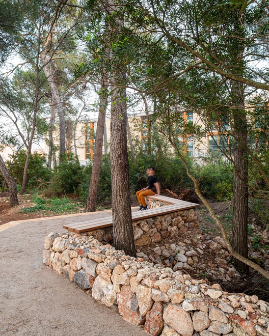 Son Caulelles 考古遗址景观设计丨西班牙-22