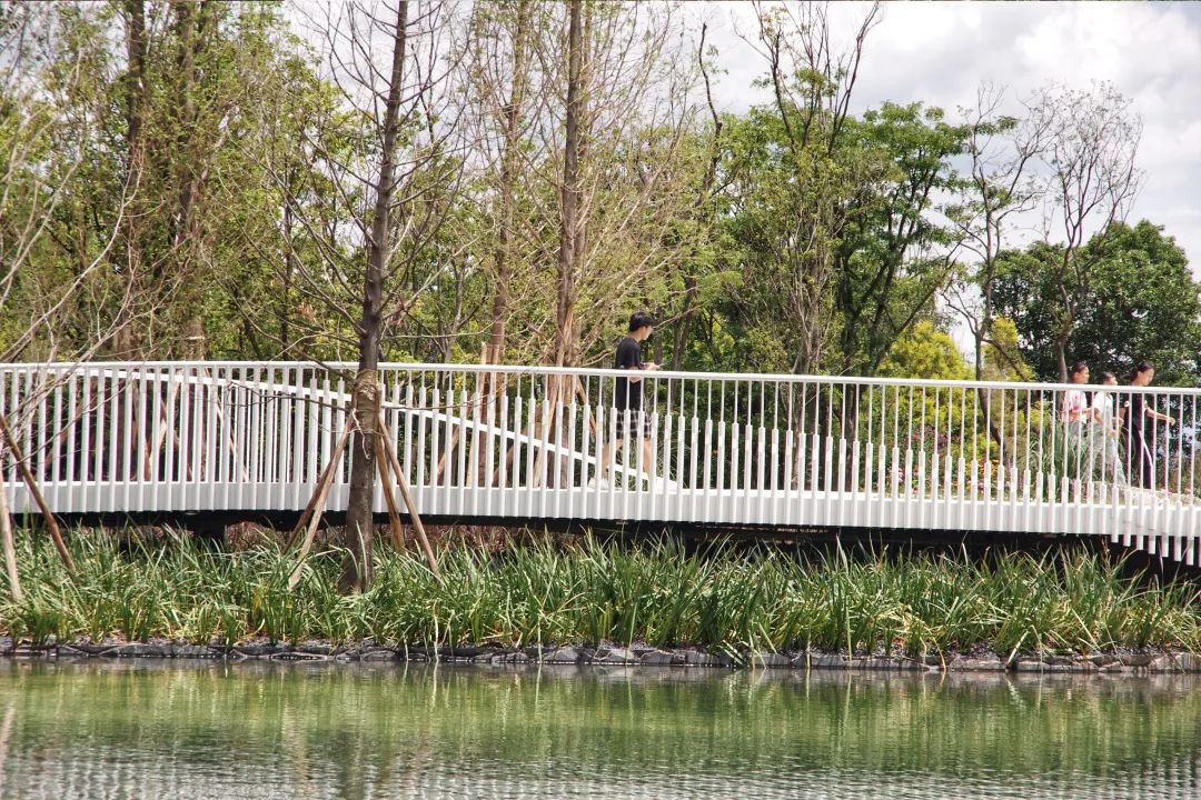 抚仙湖星空小镇 | 生态修复的人与自然和谐共生典范-75