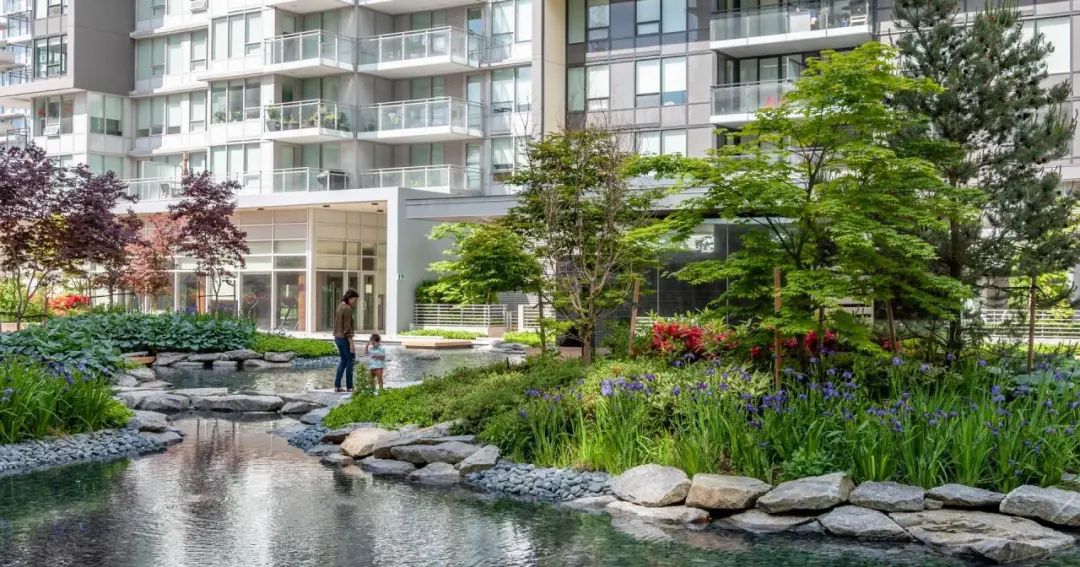 温哥华 Ketcheson Neighbourhood 公园丨哥伦比亚-17